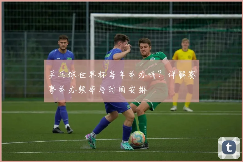 乒乓球世界杯每年举办吗？详解赛事举办频率与时间安排