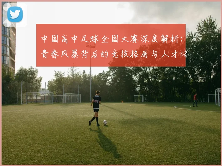 中国高中足球全国大赛深度解析：青春风暴背后的竞技格局与人才培养路径
